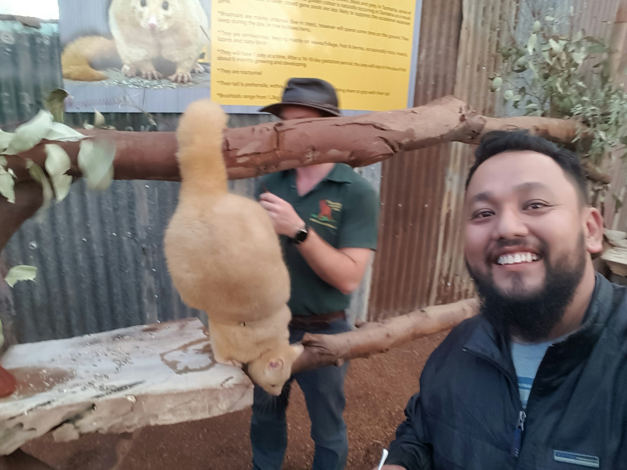 asian tourist self portrait with cute possum in caversham wildlife park in perth Australia